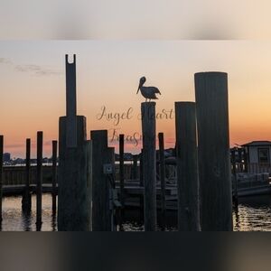 4x6 Original Photography Of Pelican Silhouette On Alabama Dock At Sunset